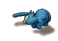Katzen bilder