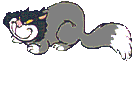 Katzen bilder