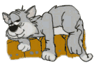 Katzen bilder