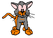 Katzen bilder