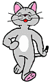 Katzen bilder