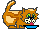 Katzen bilder