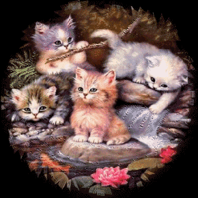 Katzen bilder