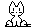 Katzen bilder