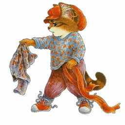 Katzen bilder