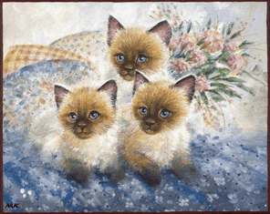 Katzen bilder