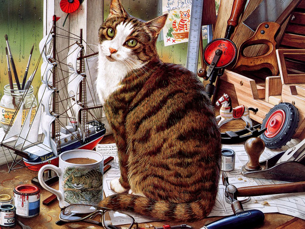 Katzen bilder