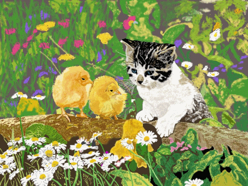 Katzen bilder