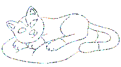 Katzen bilder