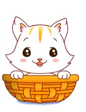 Katzen bilder