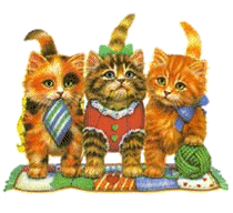 Katzen bilder