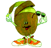 Kiwi bilder