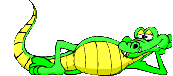 Krokodile bilder