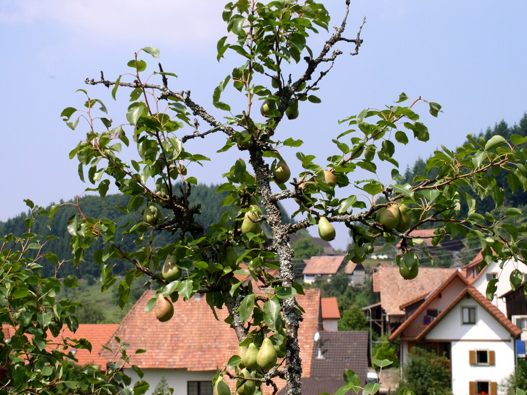 Landschaften bilder