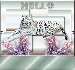 Leere namensschilder bilder