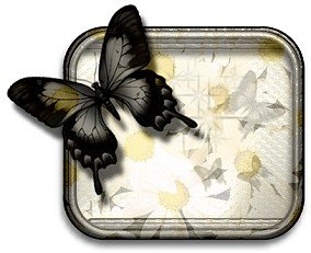 Leere namensschilder bilder