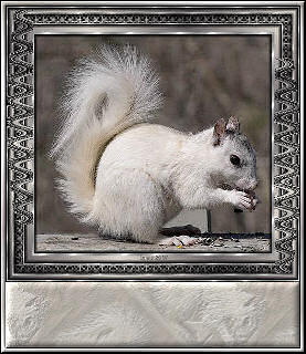 Leere namensschilder bilder
