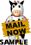 Mail bilder