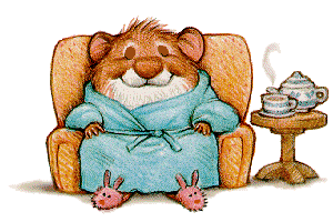 Meerschweinchen bilder