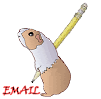Meerschweinchen bilder
