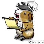 Meerschweinchen bilder