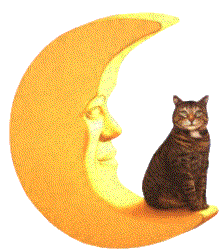 Mond bilder