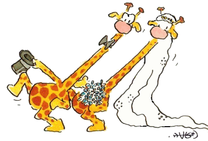 Olaf giraffe bilder