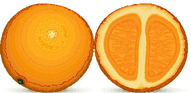 Orange bilder