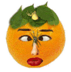 Orangen