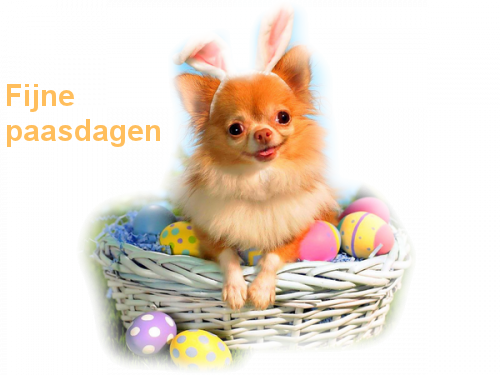 Ostern bilder