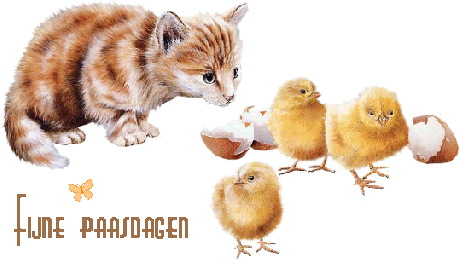 Ostern bilder