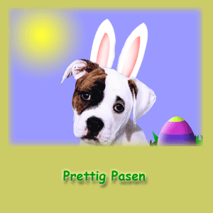 Ostern bilder