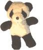 Panda baren bilder