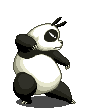 Panda bilder