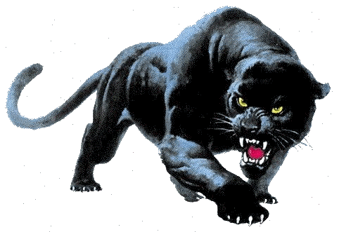 Panther