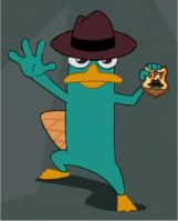 Perry das schnabeltier