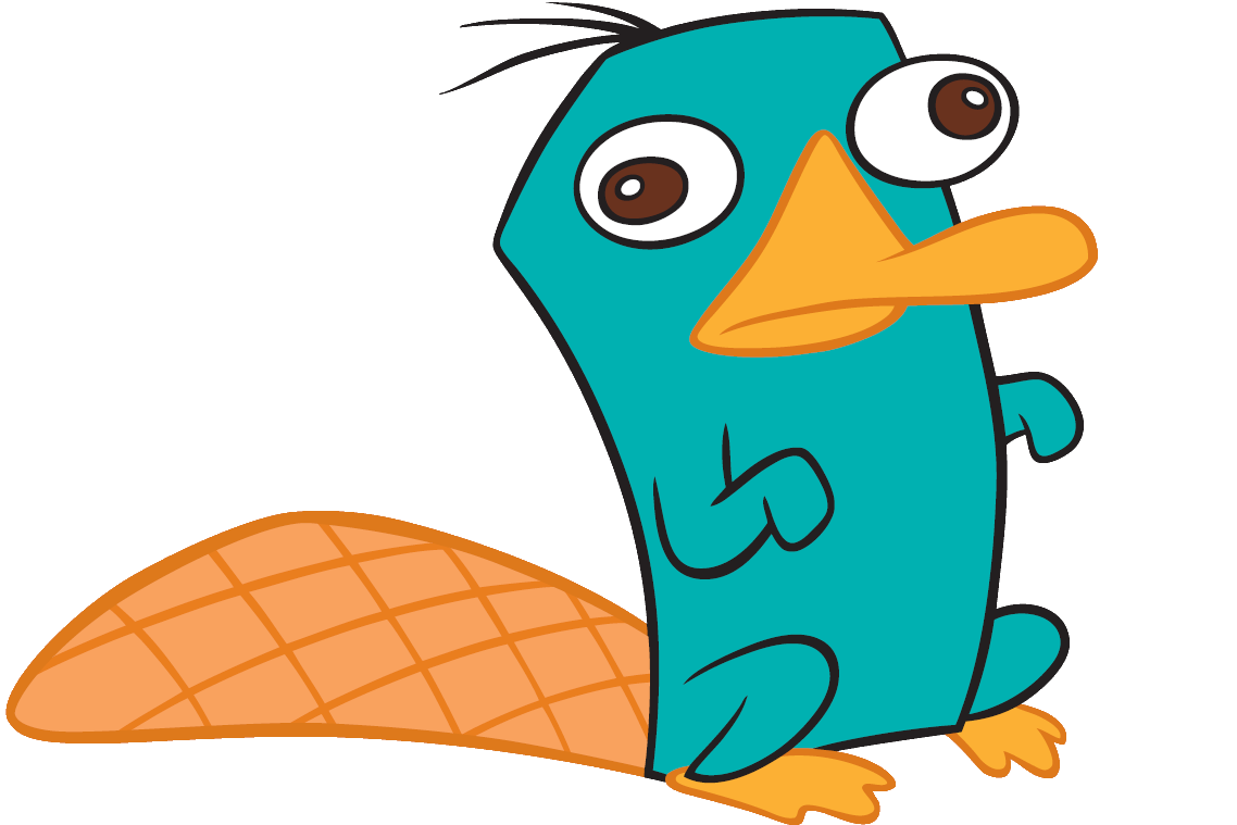 Perry das schnabeltier bilder