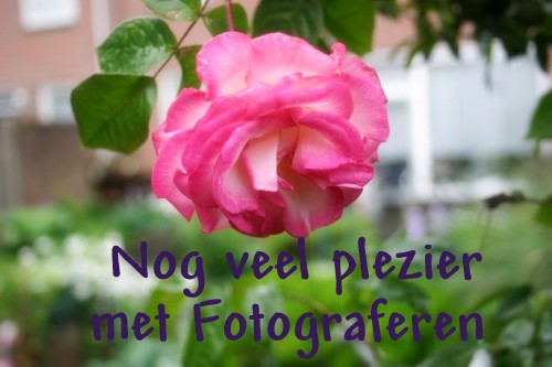 Photographieren