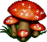 Pilze bilder