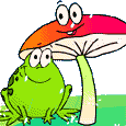 Pilze bilder