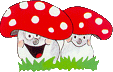 Pilze bilder