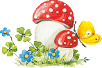 Pilze bilder