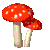 Pilze bilder
