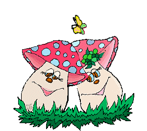 Pilze bilder