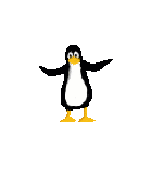 Pinguine bilder