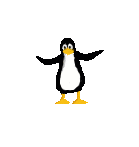 Pinguine bilder