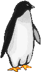 Pinguine bilder