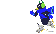 Pinguine bilder