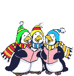Pinguine bilder