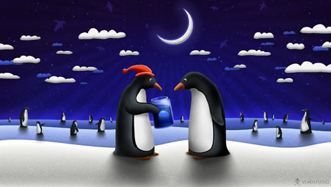 Pinguine bilder